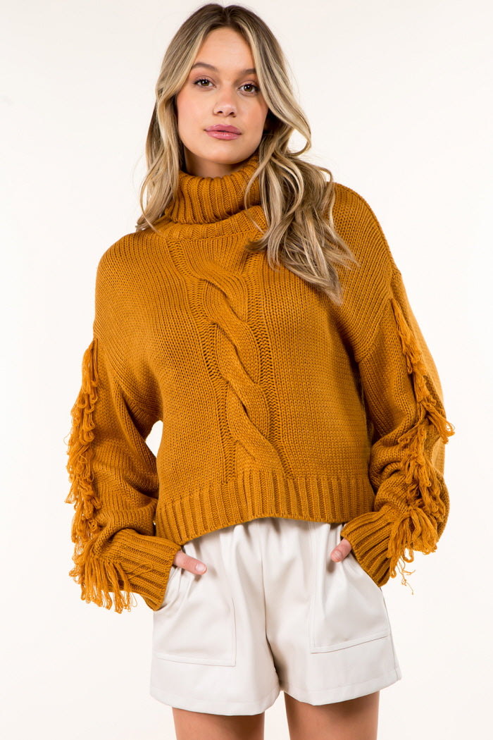 Fringe Detail High Neck Pullover Sweater