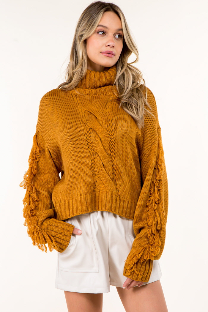 Fringe Detail High Neck Pullover Sweater