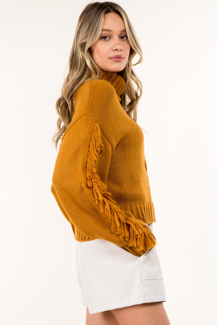 Fringe Detail High Neck Pullover Sweater
