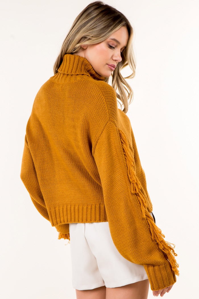 Fringe Detail High Neck Pullover Sweater