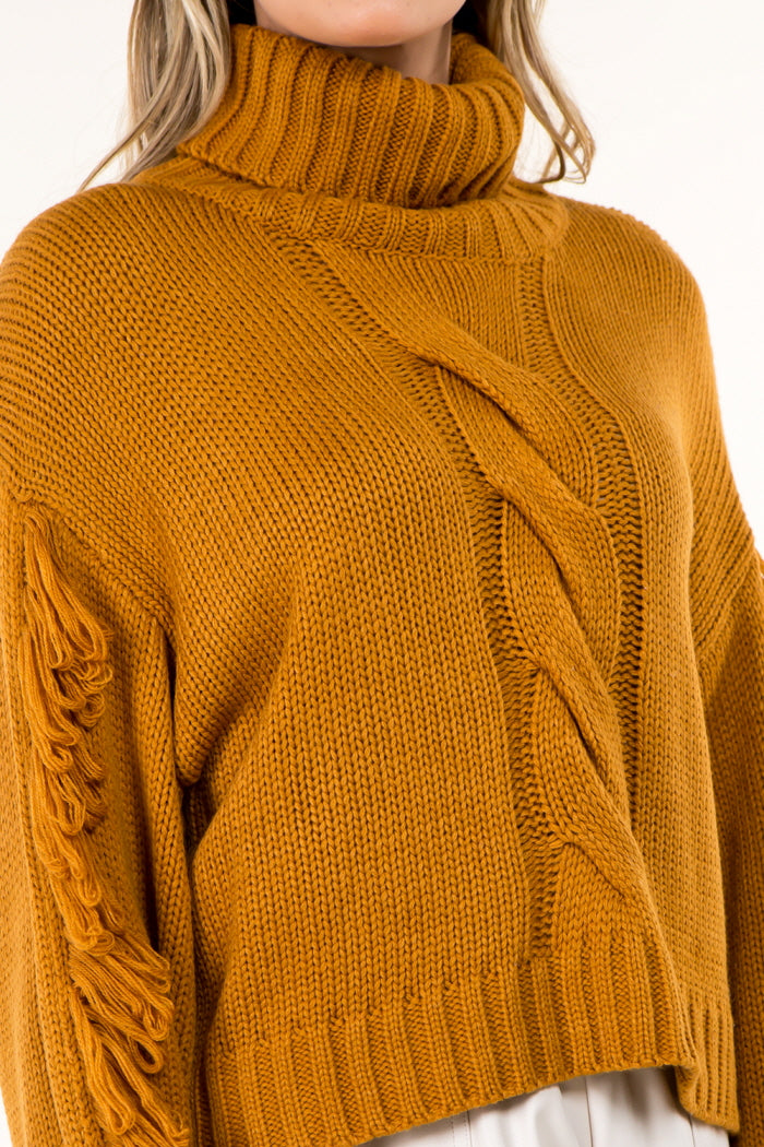 Fringe Detail High Neck Pullover Sweater