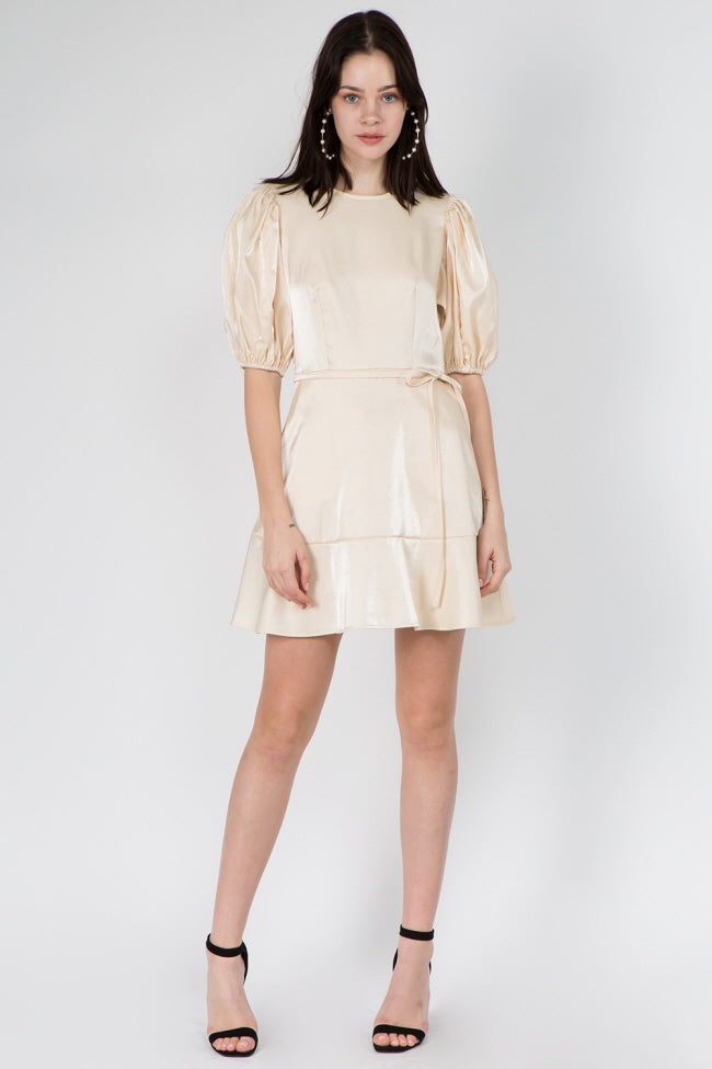 Puff Sleeve Pocket Dress - Whiteroom+Cactus
