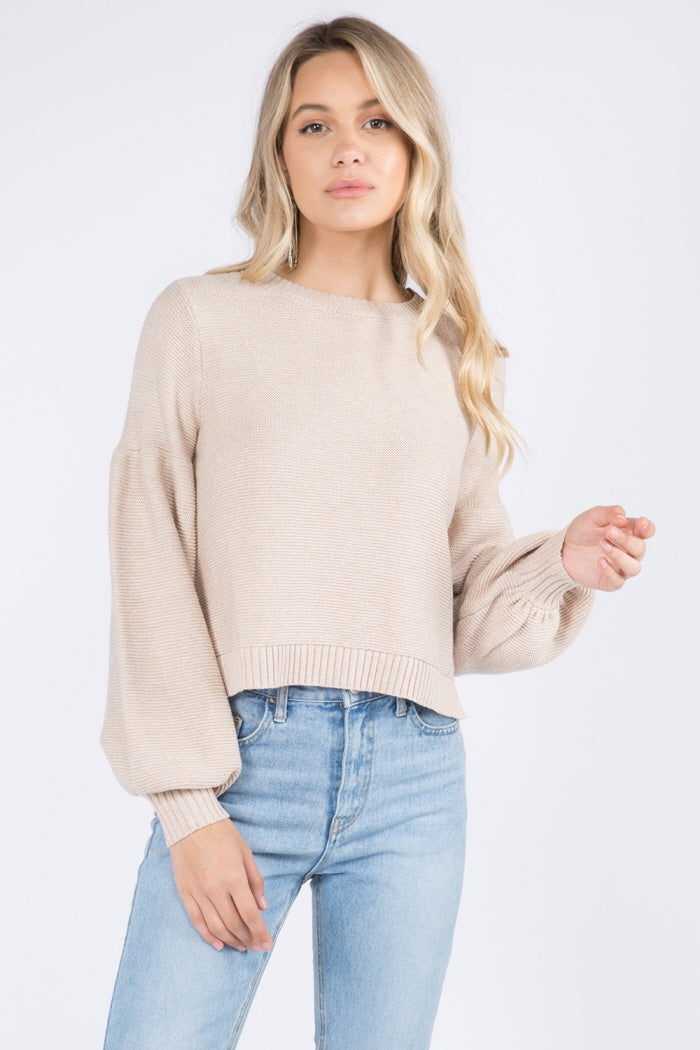 Knitted Full Sleeves Sweater - Whiteroom+Cactus