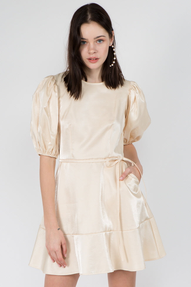 Puff Sleeve Pocket Dress - Whiteroom+Cactus